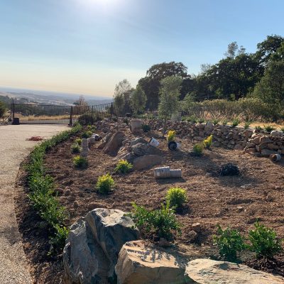 California green (138)