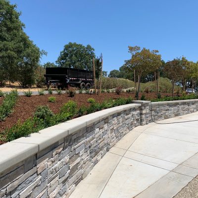 California green (147)